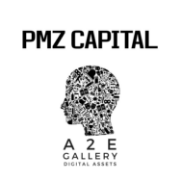 Logo PMZ Capital A2E